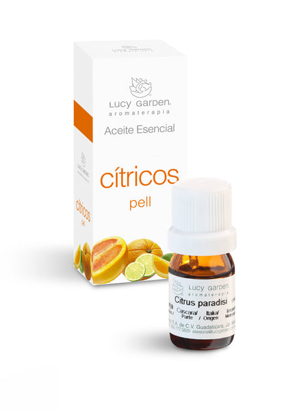 Bergamota.- Citrus bergamia